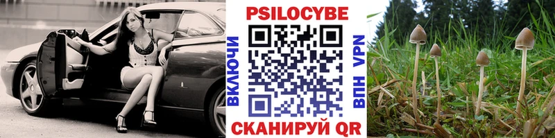 Купить где  Чекалин  Галлюциногенные грибы прущие грибы 